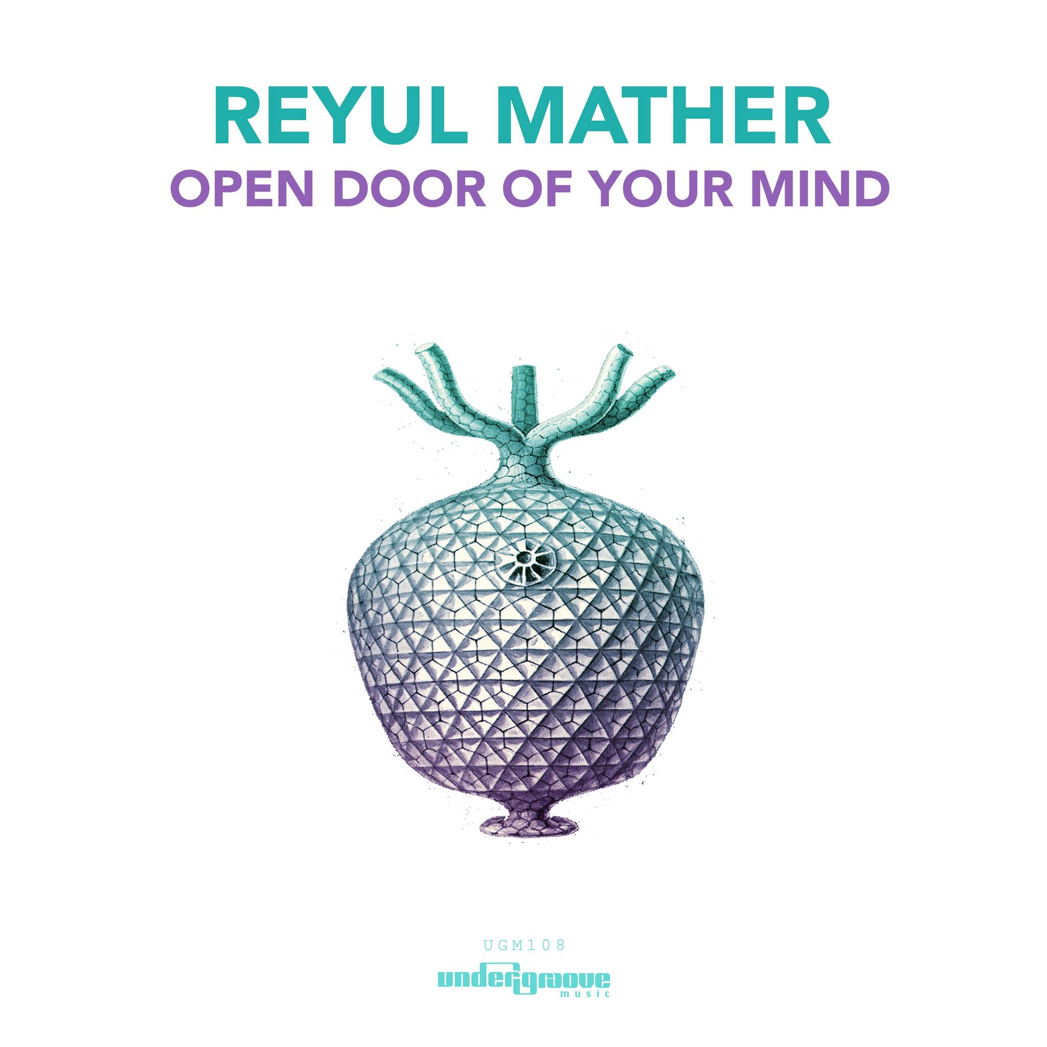 Reyul Mather Open Door Of Your Mind