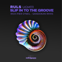 SLIP IN TO THE GROOVE (2) SLIP IN TO THE GROOVE (2)